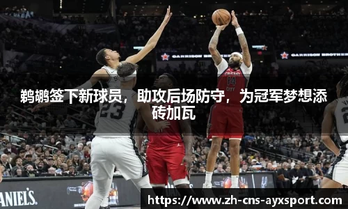 鹈鹕签下新球员，助攻后场防守，为冠军梦想添砖加瓦