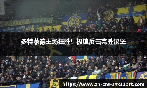 多特蒙德主场狂胜！极速反击完胜汉堡