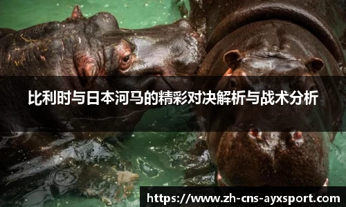 比利时与日本河马的精彩对决解析与战术分析